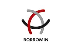 Logo: Borromin Capital Management GmbH